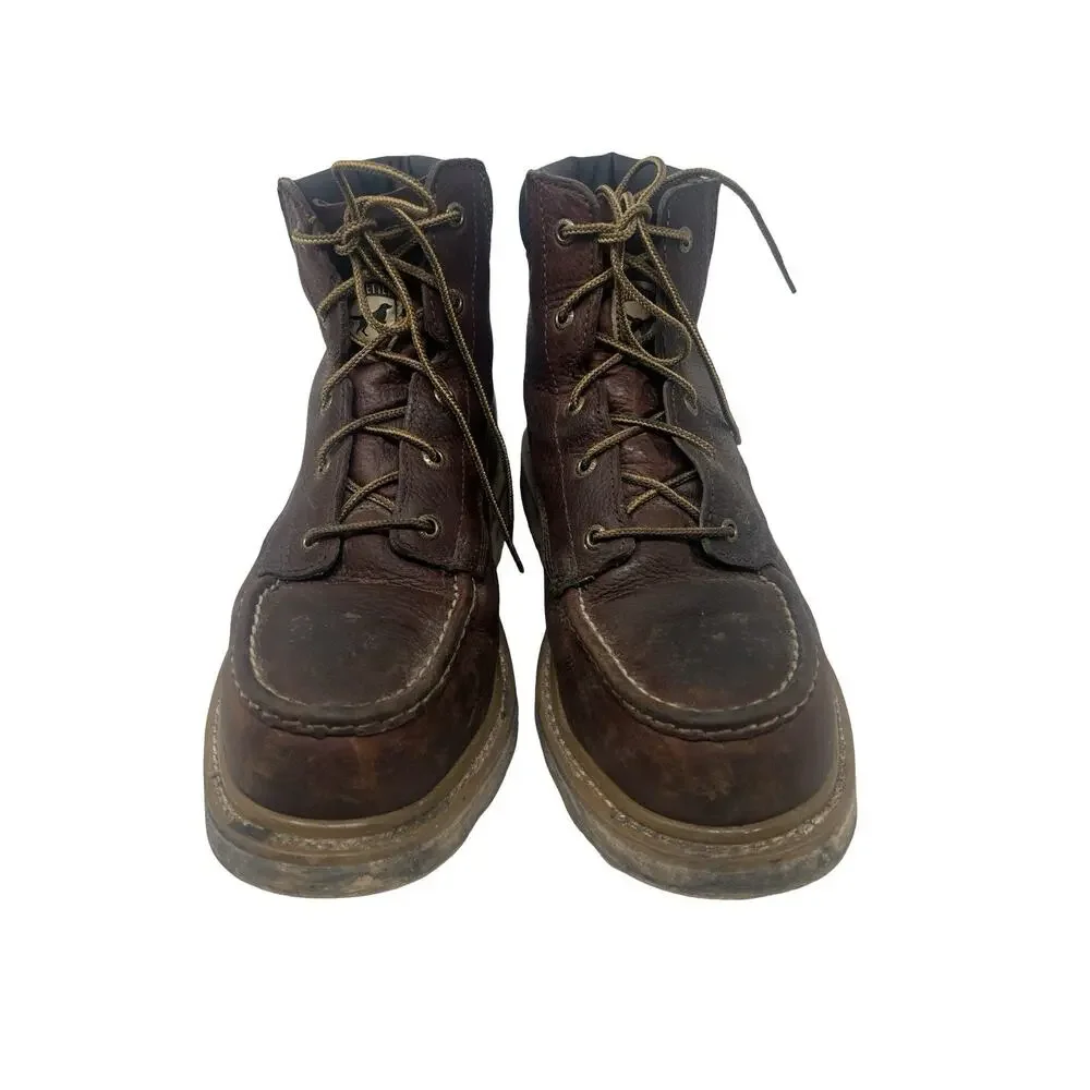 Irish Setter Ashby 6